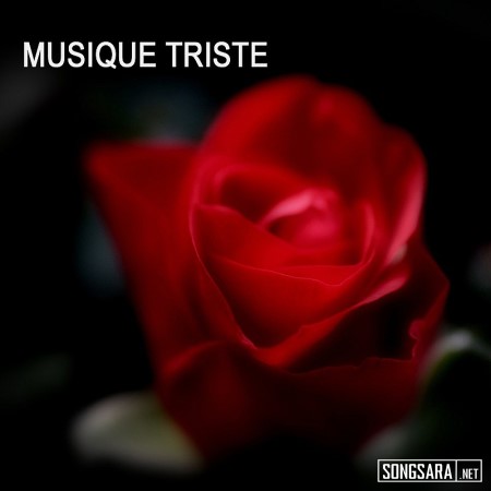 http://dl.songsara.net/hamid/93/Mordad/Musique%20Triste%20Musique%20%20-%20Instrumental%2C%20Musiqu%20(2012)%20SONGSARA.NET/Musique%20Triste%20Musique%20%20-%20Instrumental,%20Musiqu%202012.jpg